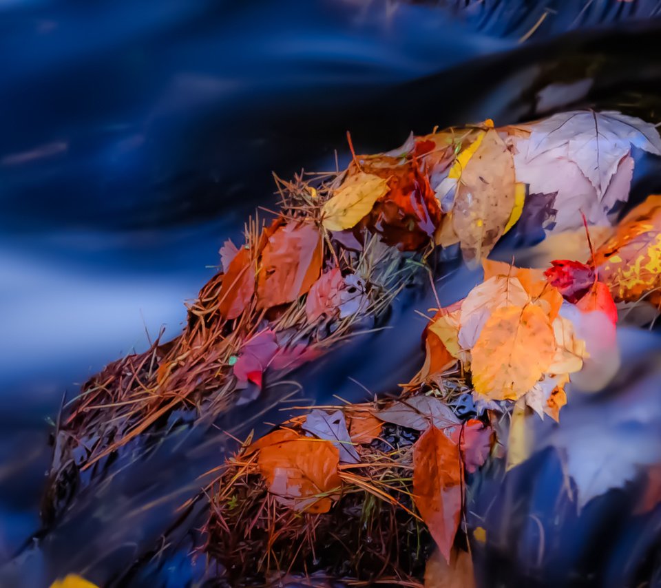 Обои река, камни, листья, ручей, осень, поток, осенние листья, river, stones, leaves, stream, autumn, autumn leaves разрешение 1931x1291 Загрузить