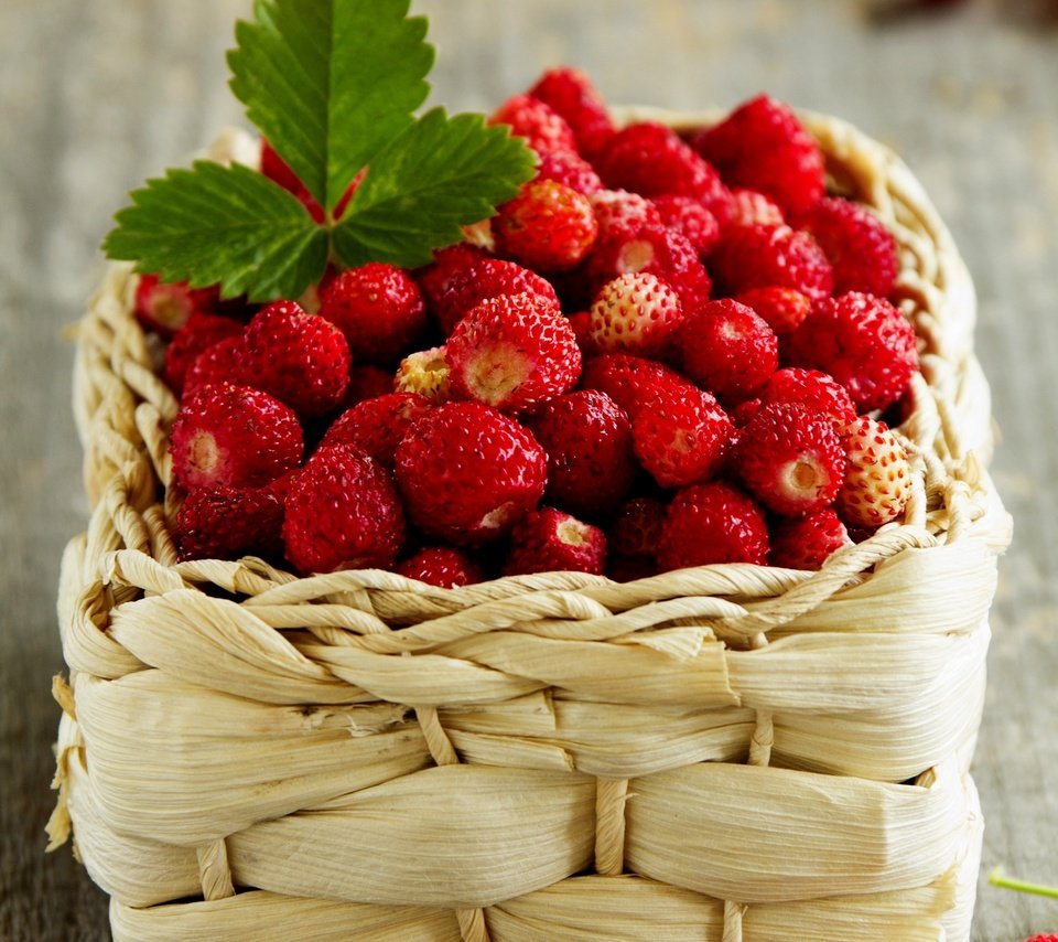 Обои ягоды, земляника, корзинка, лукошко, berries, strawberries, basket разрешение 2000x1734 Загрузить