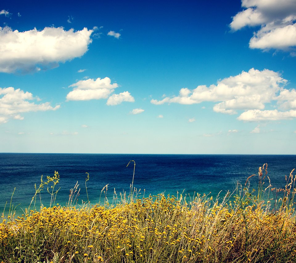 Обои цветы, трава, облака, берег, море, вид, flowers, grass, clouds, shore, sea, view разрешение 2880x1800 Загрузить