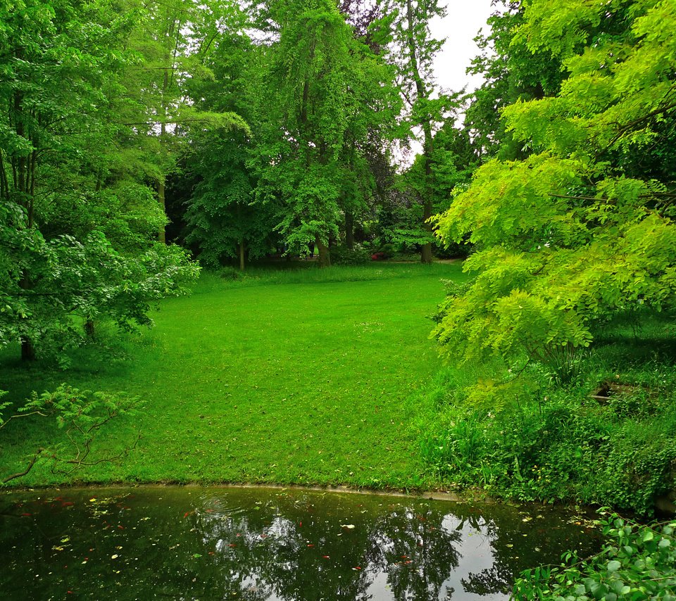 Обои трава, деревья, зелень, парк, пруд, франция, лужайка, albert-kahn japanese gardens, grass, trees, greens, park, pond, france, lawn разрешение 2592x1944 Загрузить