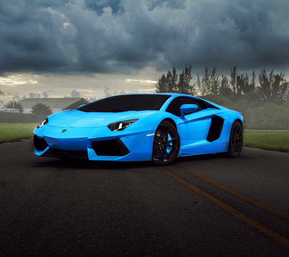 Обои синий, улица, ламборджини авентадор, blue, street, lamborghini aventador разрешение 5000x3125 Загрузить