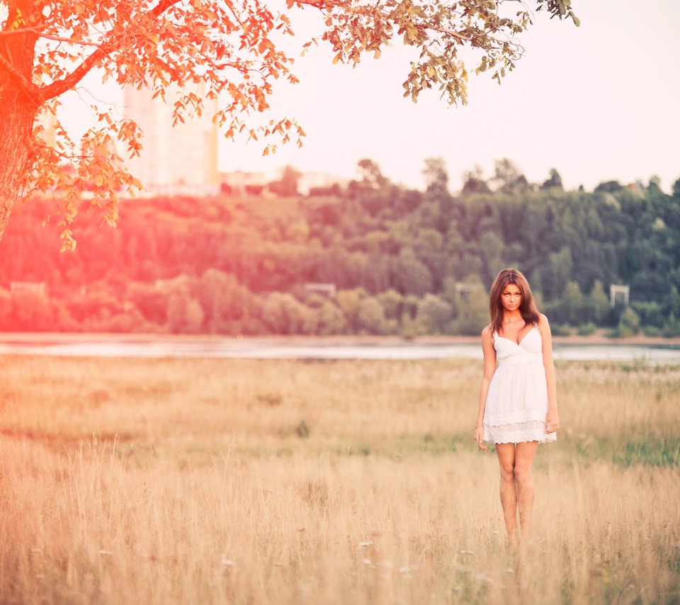 Обои природа, девушка, платье, поле, лето, nature, girl, dress, field, summer разрешение 4256x2832 Загрузить