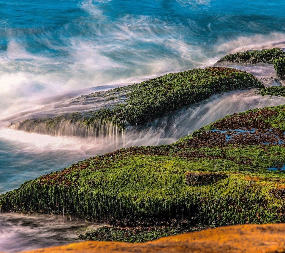 Обои природа, камни, море, водоросли, nature, stones, sea, algae разрешение 1920x1080 Загрузить