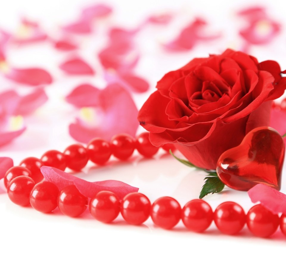 Обои цветок, роза, лепестки, сердечко, сердце, бусы, украшение, valentines day, bead, flower, rose, petals, heart, beads, decoration разрешение 2880x1931 Загрузить