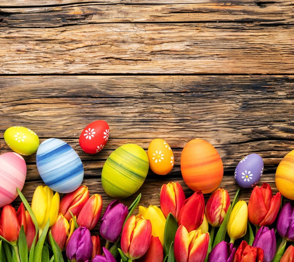 Обои цветы, весенние, весна, зеленые пасхальные, довольная, тюльпаны, красочная, пасха, яйца, дерева, тульпаны,  цветы, глазунья, декорация, decoration, flowers, spring, happy, tulips, colorful, easter, eggs, wood разрешение 5490x4000 Загрузить