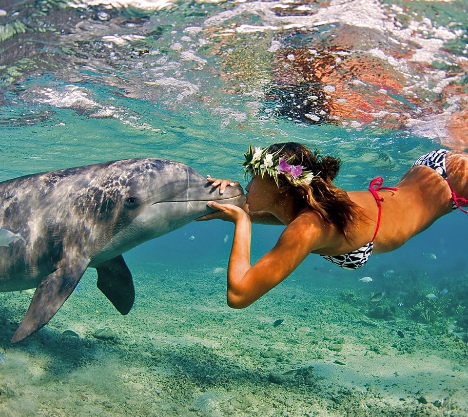 Обои девушка, поцелуй, дельфин, валлпапер, gевочка, воздушны поцелуй, girl, kiss, dolphin, wallpaper разрешение 1920x1280 Загрузить
