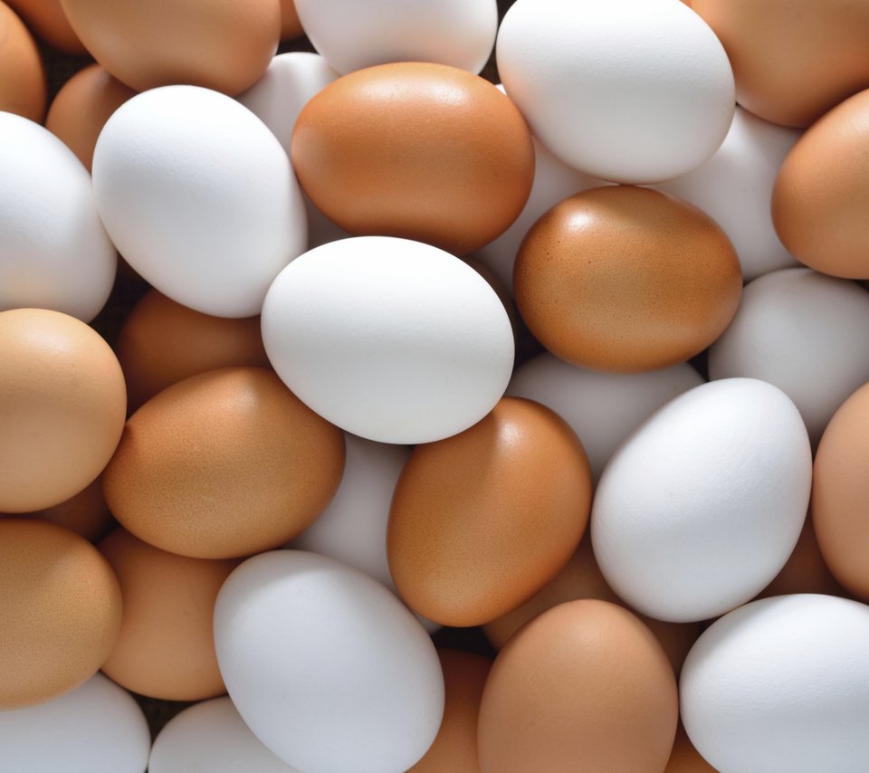 Обои яйца, расцветка, глазунья, куриное мясо, eggs, colors, chicken разрешение 2121x1416 Загрузить