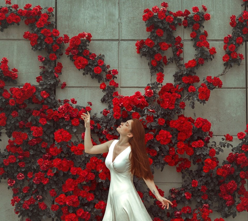 Обои цветы, девушка, платье, поза, стена, лицо, flowers, girl, dress, pose, wall, face разрешение 2048x1365 Загрузить