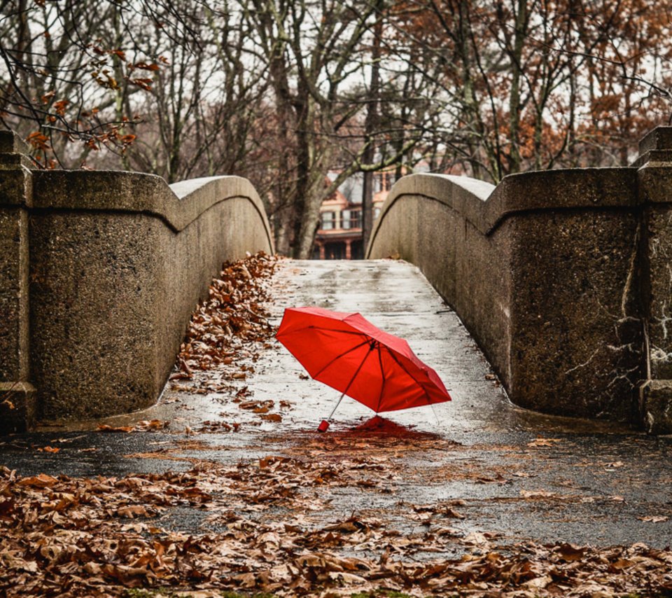 Обои мост, город, осень, красный, зонтик, bridge, the city, autumn, red, umbrella разрешение 2048x1305 Загрузить