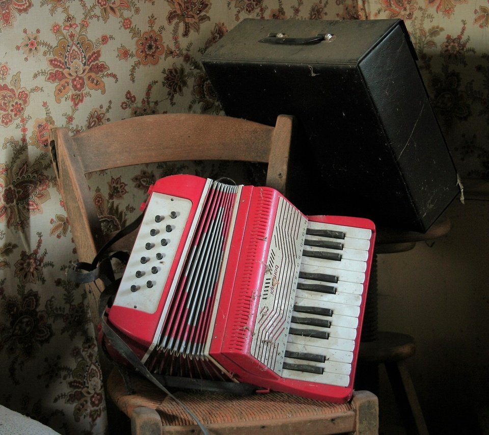 Обои музыка, инструмент, гармошка, music, tool, accordion разрешение 1980x1250 Загрузить