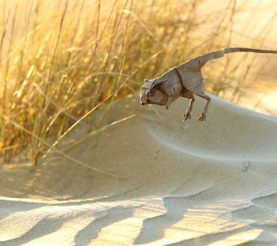 Обои бумага, оригами, животное, jerbo pigmeo de baluchistan, тушканчик, paper, origami, animal, jerboa разрешение 2560x1707 Загрузить