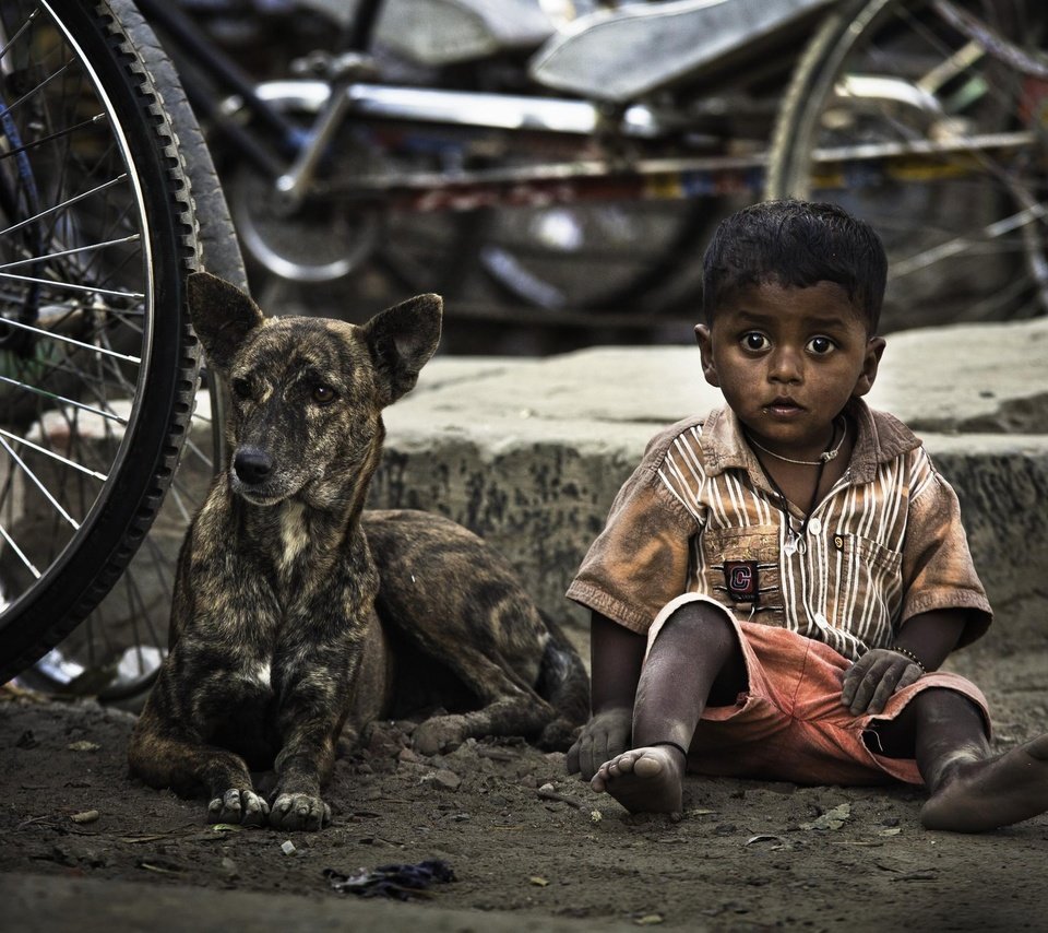 Обои собака, дети, ребенок, мальчик, велосипед, dog, children, child, boy, bike разрешение 2500x1561 Загрузить