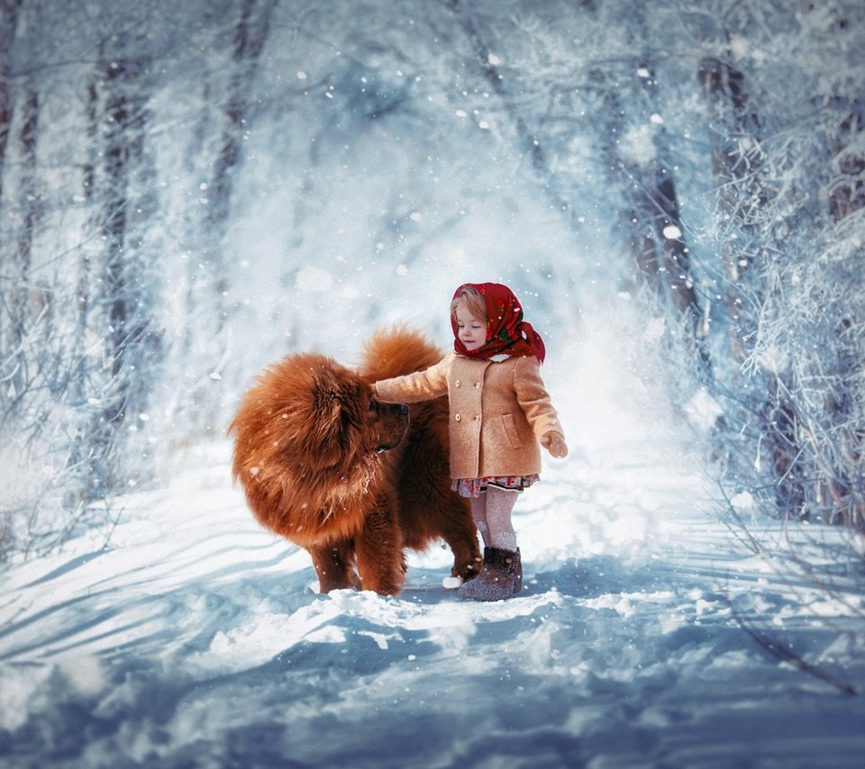 Обои снег, чау-чау, зима, собака, девочка, ребенок, платок, пальто, тибетский мастиф, snow, chow, winter, dog, girl, child, shawl, coat, tibetan mastiff разрешение 1920x1200 Загрузить