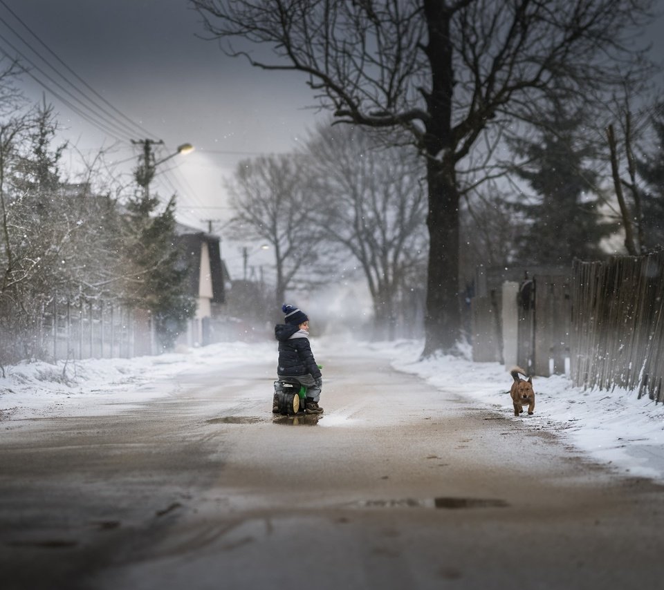 Обои дорога, снег, зима, собака, дети, мальчик, road, snow, winter, dog, children, boy разрешение 2048x1365 Загрузить