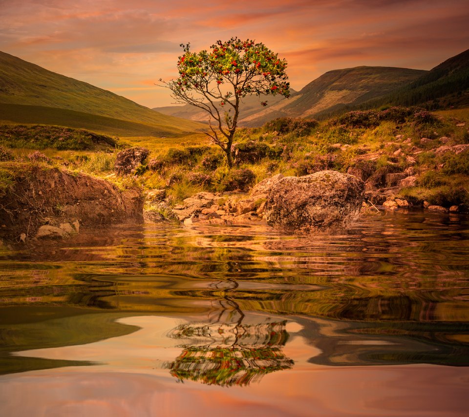 Обои вода, озеро, горы, дерево, закат, отражение, рябина, sophiaspurgin, water, lake, mountains, tree, sunset, reflection, rowan разрешение 4470x4470 Загрузить