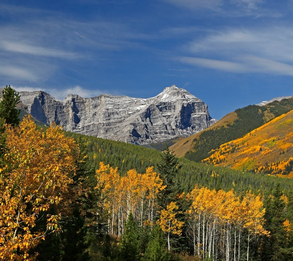 Обои деревья, горы, осень, канада, альберта, кананаскис, trees, mountains, autumn, canada, albert, kananaskis разрешение 2048x1365 Загрузить