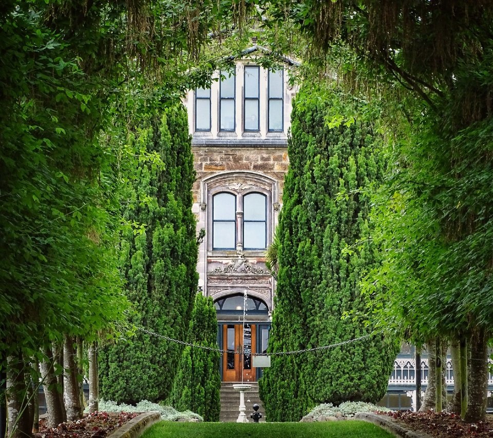 Обои деревья, замок, новая зеландия, larnach castle, данидин, trees, castle, new zealand, dunedin разрешение 2560x2091 Загрузить