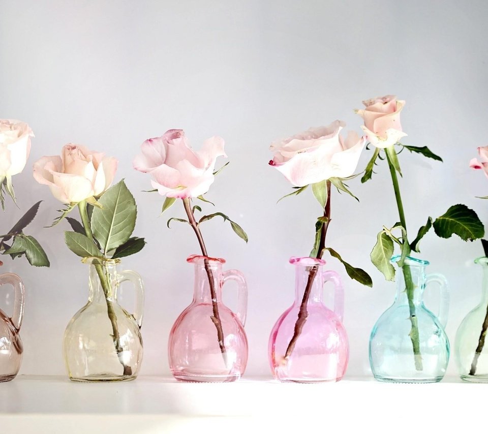 Обои цветы, розы, разноцветные, стекло, вазы, кувшины, flowers, roses, colorful, glass, vases, pitchers разрешение 2048x1319 Загрузить