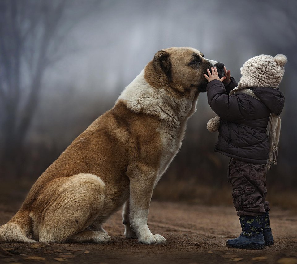 Обои лес, собака, дети, ребенок, дружба, forest, dog, children, child, friendship разрешение 1920x1200 Загрузить