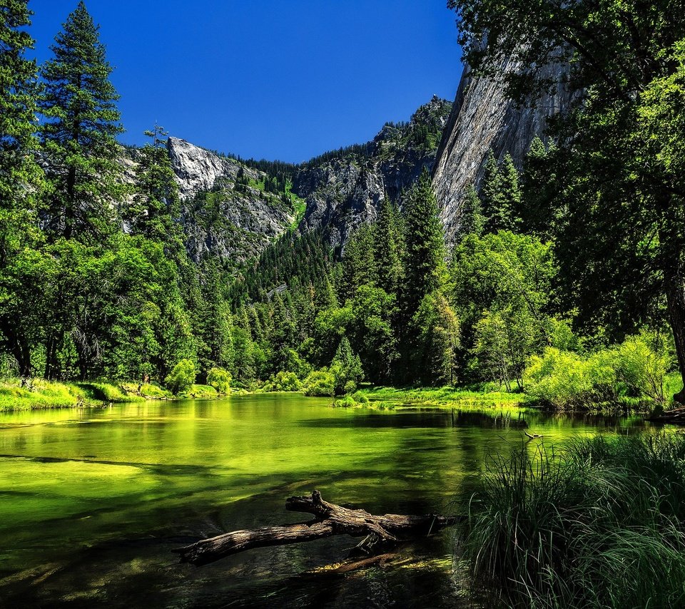 Обои деревья, ка­ли­фор­нийс­кая, река, река мерсед, горы, merced river, йосемитский национальный парк., сша, калифорния, йосемити, йосемитский национальный парк, сьерра-невада, trees, california, river, the merced river, mountains, usa, ca, yosemite, yosemite national park, sierra nevada разрешение 2048x1365 Загрузить