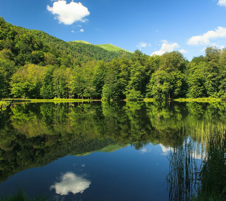 Обои небо, облака, озеро, природа, лес, отражение, the sky, clouds, lake, nature, forest, reflection разрешение 1920x1200 Загрузить