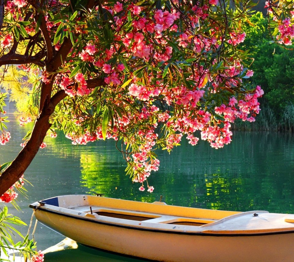 Обои деревья, река, цветение, отражение, лодка, лодка на озере, trees, river, flowering, reflection, boat, boat on the lake разрешение 1920x1080 Загрузить