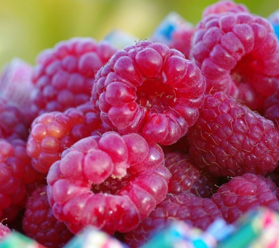 Обои малина, ягода, ягоды, крупным планом, raspberry, berry, berries, closeup разрешение 1920x1080 Загрузить