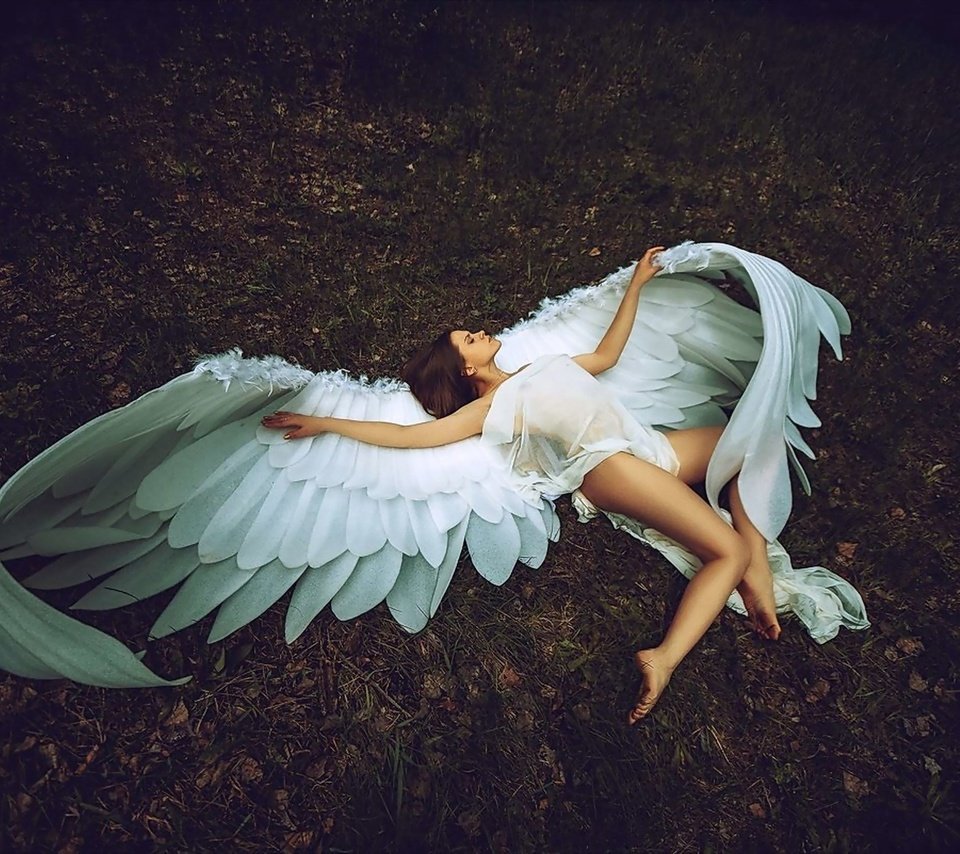 Обои девушка, крылья, модель, ангел, ноги, креатив, позирует, леонид мочульский, girl, wings, model, angel, feet, creative, posing, leonid mochulsky разрешение 2000x1333 Загрузить