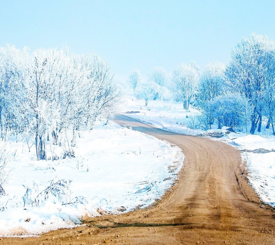 Обои дорога, деревья, снег, лес, зима, путь, road, trees, snow, forest, winter, the way разрешение 2560x1440 Загрузить