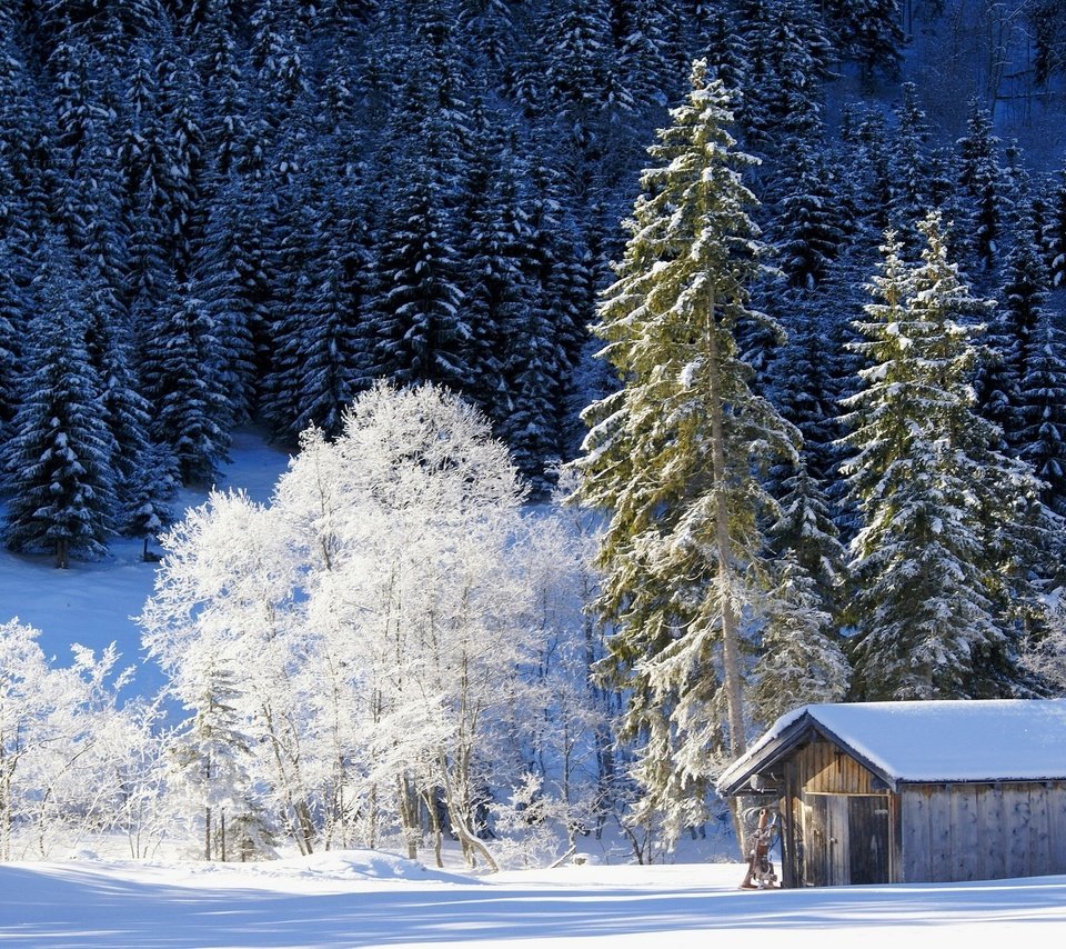 Обои деревья, снег, природа, лес, зима, домик, германия, бавария, trees, snow, nature, forest, winter, house, germany, bayern разрешение 2048x1369 Загрузить