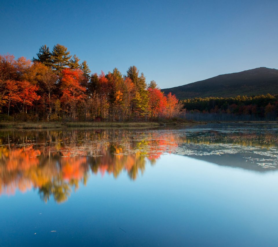 Обои небо, деревья, озеро, горы, природа, отражение, осень, the sky, trees, lake, mountains, nature, reflection, autumn разрешение 1920x1200 Загрузить