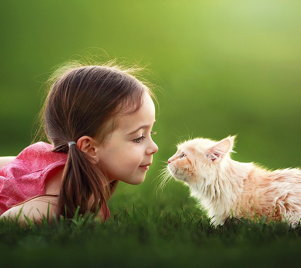 Обои трава, настроение, кот, кошка, девочка, ребенок, suzy mead, grass, mood, cat, girl, child разрешение 1920x1200 Загрузить