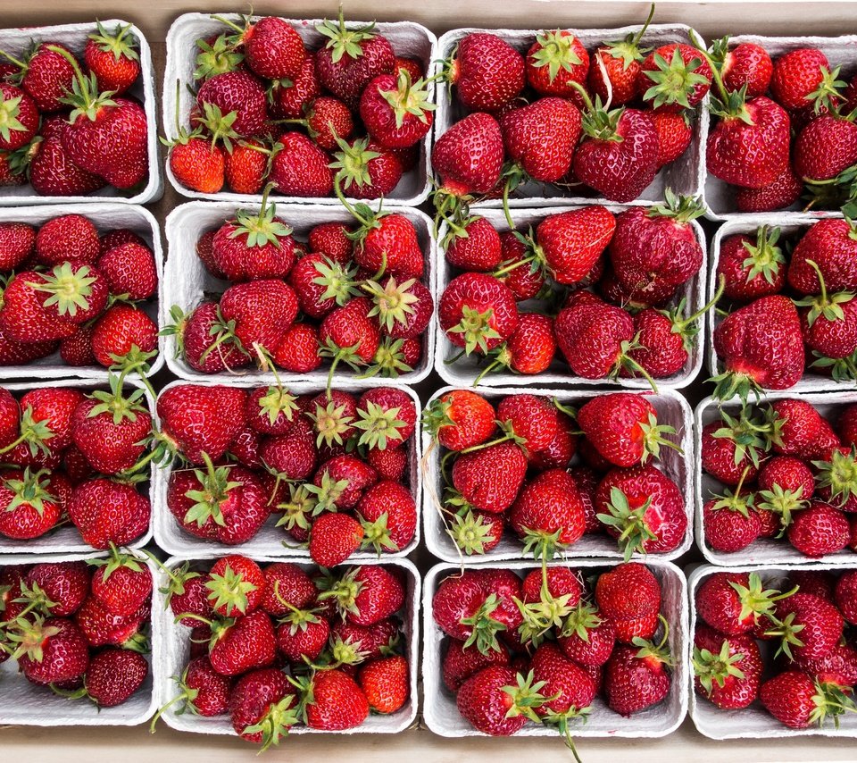 Обои клубника, ягоды, много, коробки, спелая клубника, strawberry, berries, a lot, box, ripe strawberries разрешение 4960x3307 Загрузить