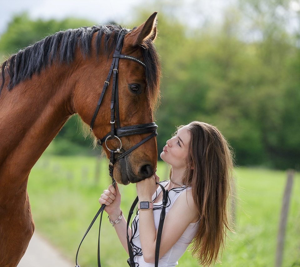Обои лошадь, девушка, профиль, конь, грива, друзья, horse, girl, profile, mane, friends разрешение 2000x1333 Загрузить
