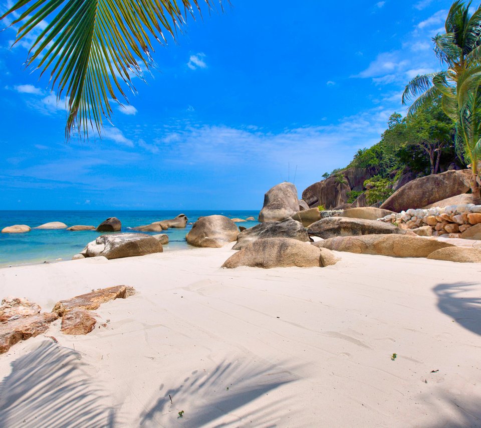 Обои море, пляж, остров, тропики, сейшелы, sea, beach, island, tropics, seychelles разрешение 3941x2632 Загрузить