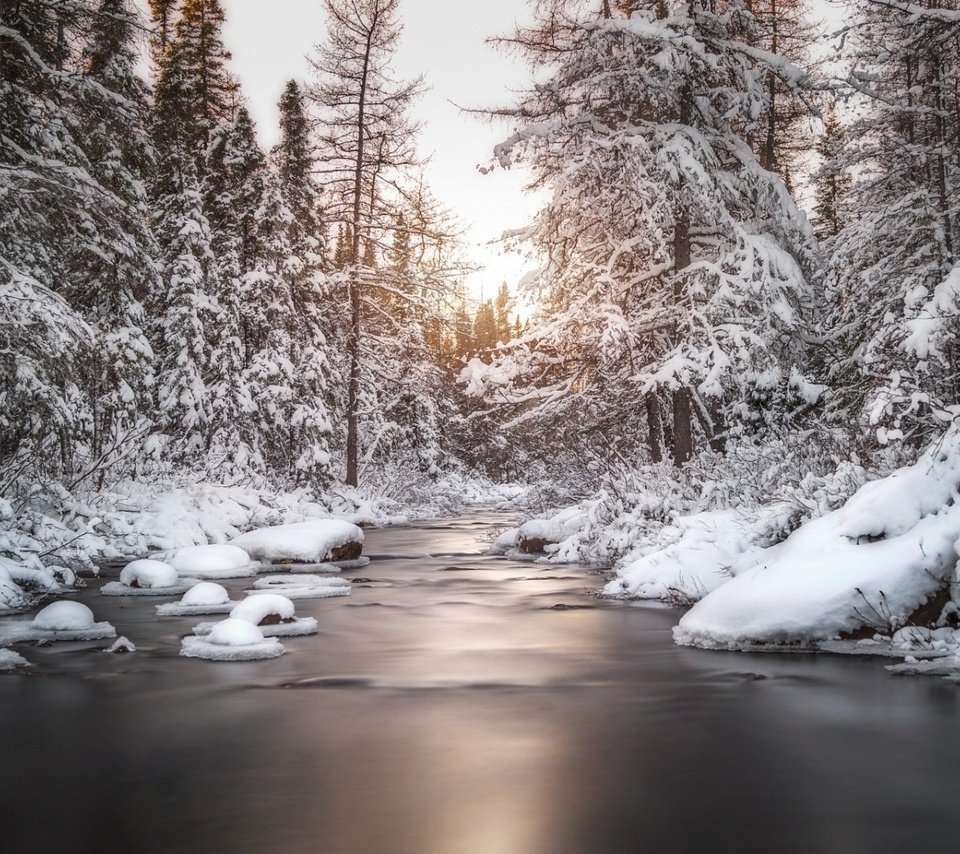 Обои деревья, река, снег, природа, лес, зима, trees, river, snow, nature, forest, winter разрешение 1920x1080 Загрузить