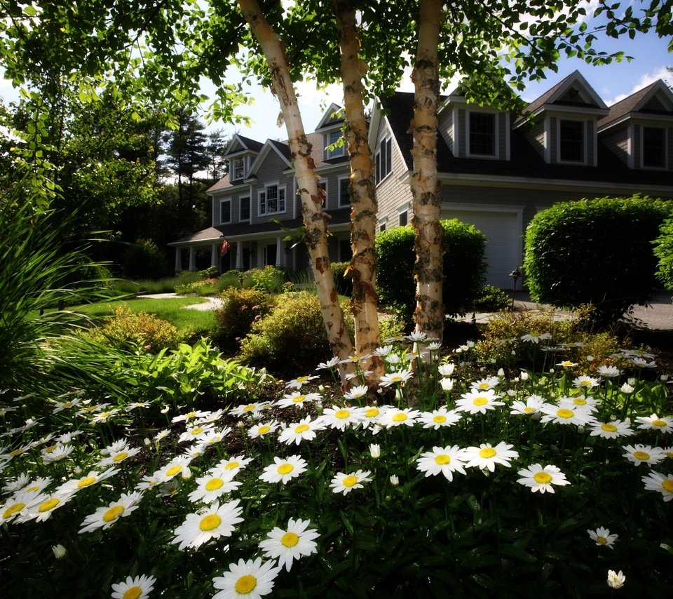 Обои цветы, трава, деревья, сад, дом, ромашки, лужайка, коттедж, flowers, grass, trees, garden, house, chamomile, lawn, cottage разрешение 4000x2776 Загрузить