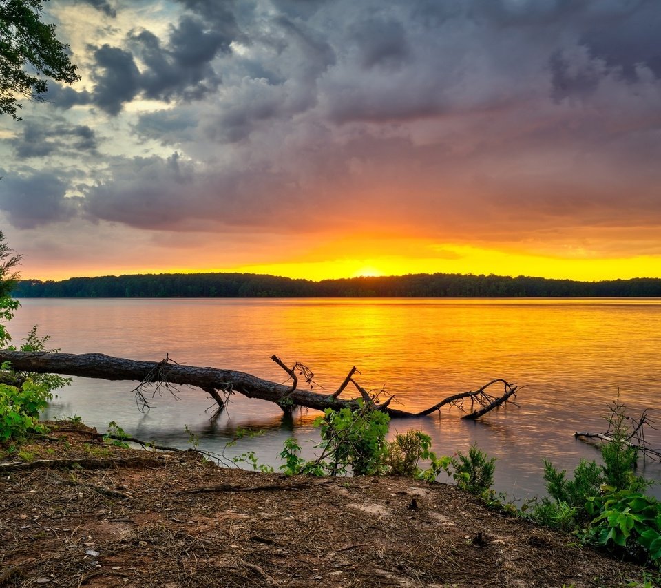 Обои небо, west point lake, деревья, река, лес, тучи, рассвет, сша, грузия, the sky, trees, river, forest, clouds, dawn, usa, georgia разрешение 1920x1200 Загрузить