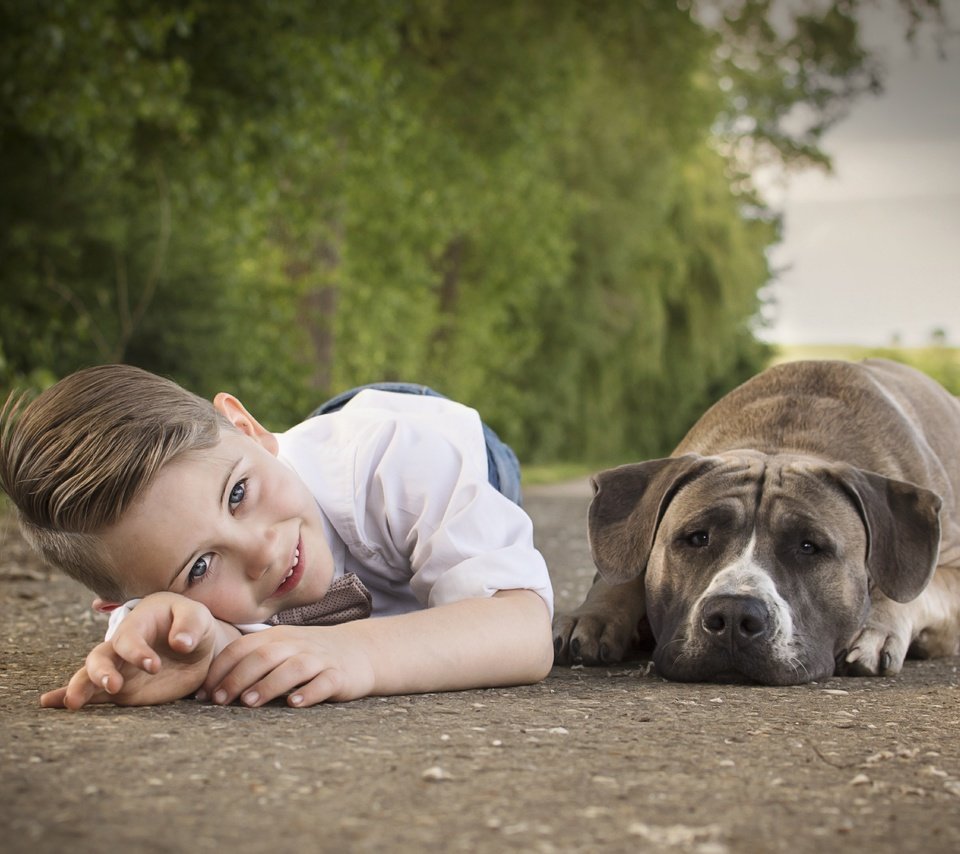 Обои улыбка, собака, ребенок, мальчик, друзья, smile, dog, child, boy, friends разрешение 6000x4000 Загрузить