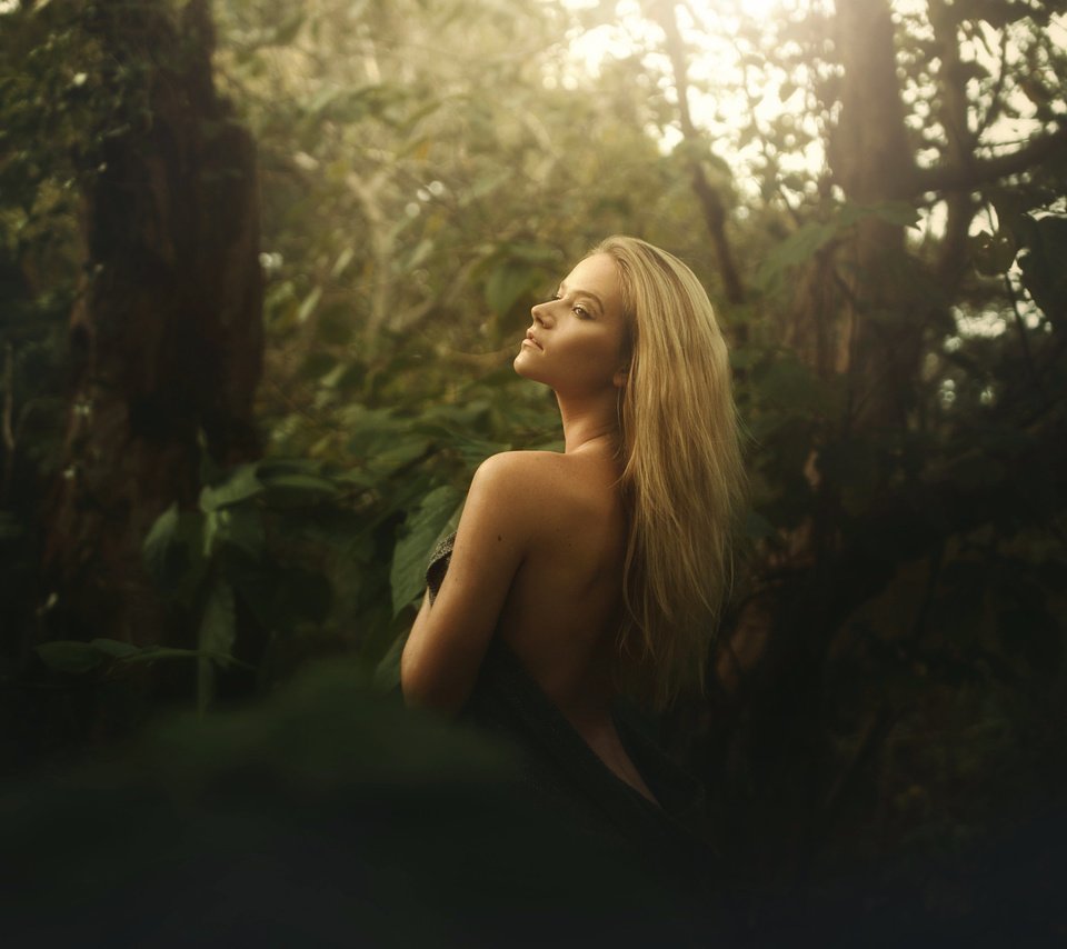 Обои лес, блондинка, взгляд, спина, tj drysdale, forest, blonde, look, back разрешение 2048x1365 Загрузить