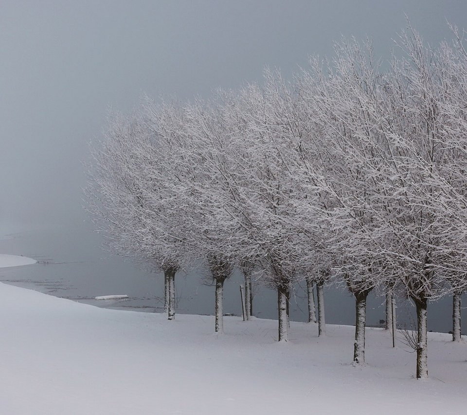 Обои деревья, озеро, снег, зима, иней, лёд, trees, lake, snow, winter, frost, ice разрешение 1920x1080 Загрузить