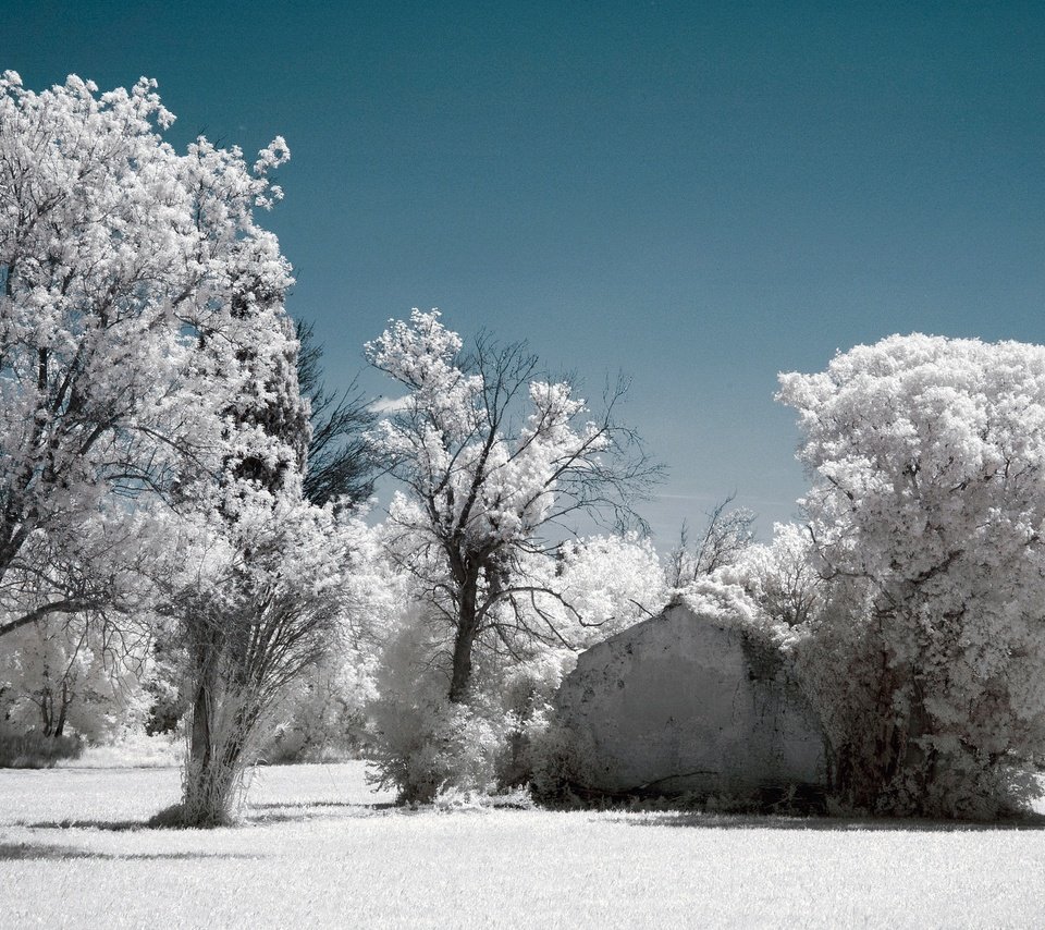 Обои небо, деревья, снег, зима, иней, инфракрасный снимок, the sky, trees, snow, winter, frost, infrared the разрешение 2048x1356 Загрузить