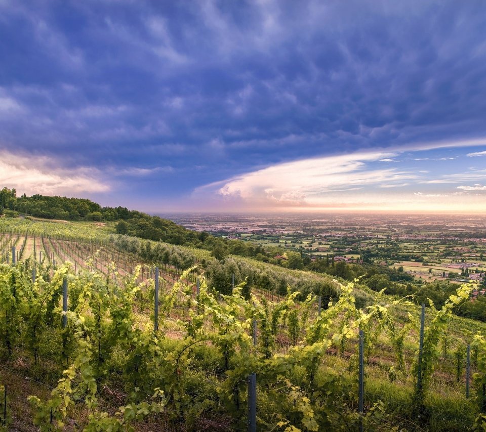 Обои небо, облака, холмы, природа, закат, долина, виноградник, the sky, clouds, hills, nature, sunset, valley, vineyard разрешение 2048x1367 Загрузить