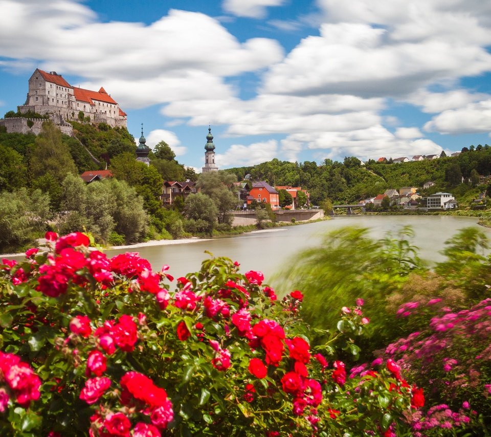 Обои бургхаузен, цветы, salzach river, река, замок бургхаузен, кусты, река зальцах, замок, розы, германия, бавария, баварии, burghausen, flowers, river, burghausen castle, the bushes, the salzach river, castle, roses, germany, bayern, bavaria разрешение 4381x2921 Загрузить