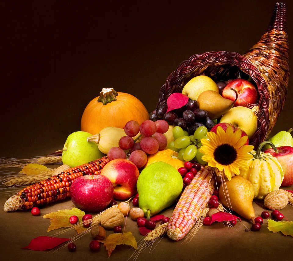 Обои орехи, тыква, виноград, груши, фрукты, осенний урожай, яблоки, колосья, кукуруза, овощи, корзинка, nuts, pumpkin, grapes, pear, fruit, autumn harvest, apples, ears, corn, vegetables, basket разрешение 2880x1800 Загрузить