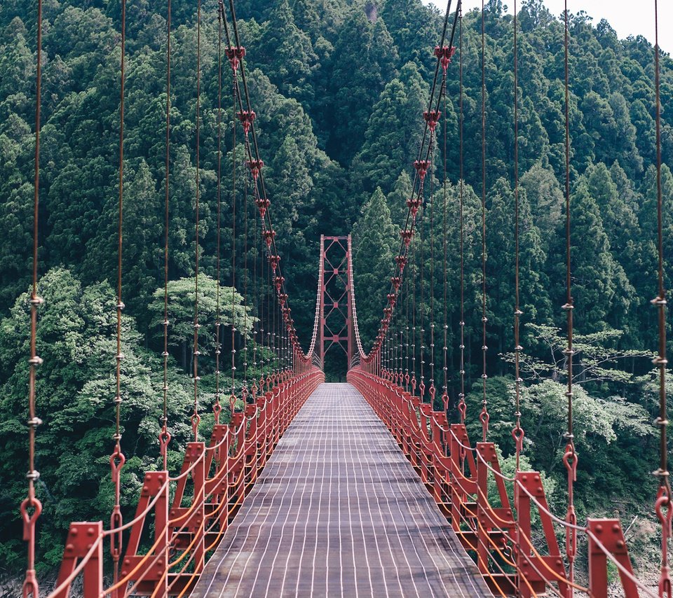 Обои деревья, природа, лес, пейзаж, мост, подвесной мост, trees, nature, forest, landscape, bridge, suspension bridge разрешение 1920x1200 Загрузить