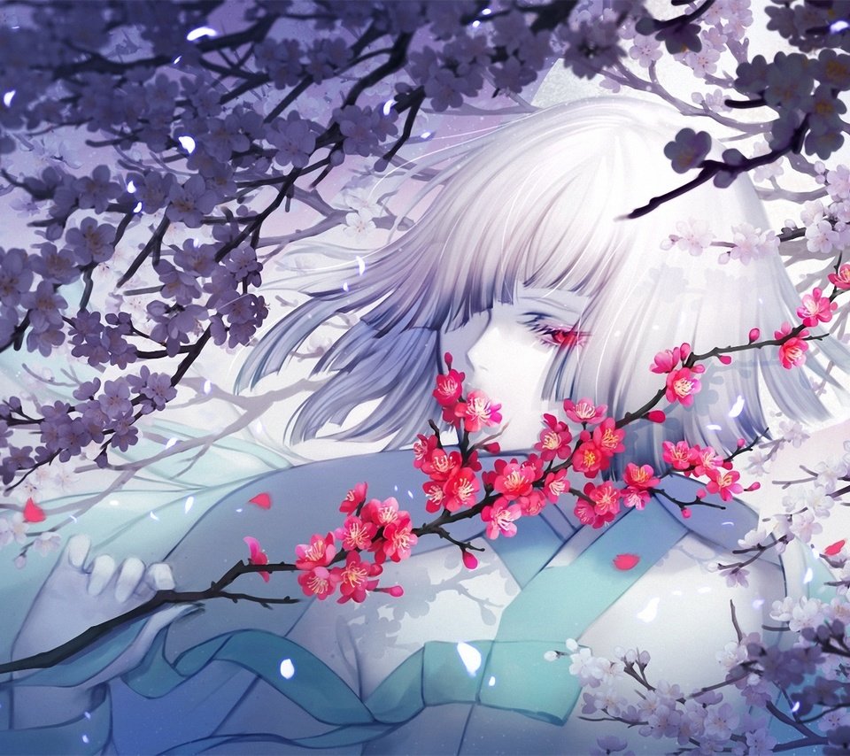 Обои цветы, ветка, девушка, сакура, белые волосы, flowers, branch, girl, sakura, white hair разрешение 1920x1168 Загрузить
