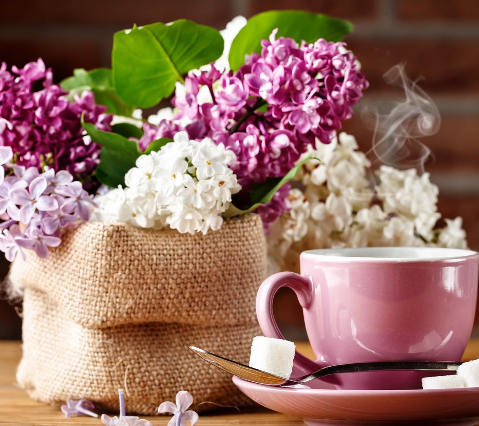 Обои кофе, букет, чашка, сирень, coffee, bouquet, cup, lilac разрешение 2112x1188 Загрузить
