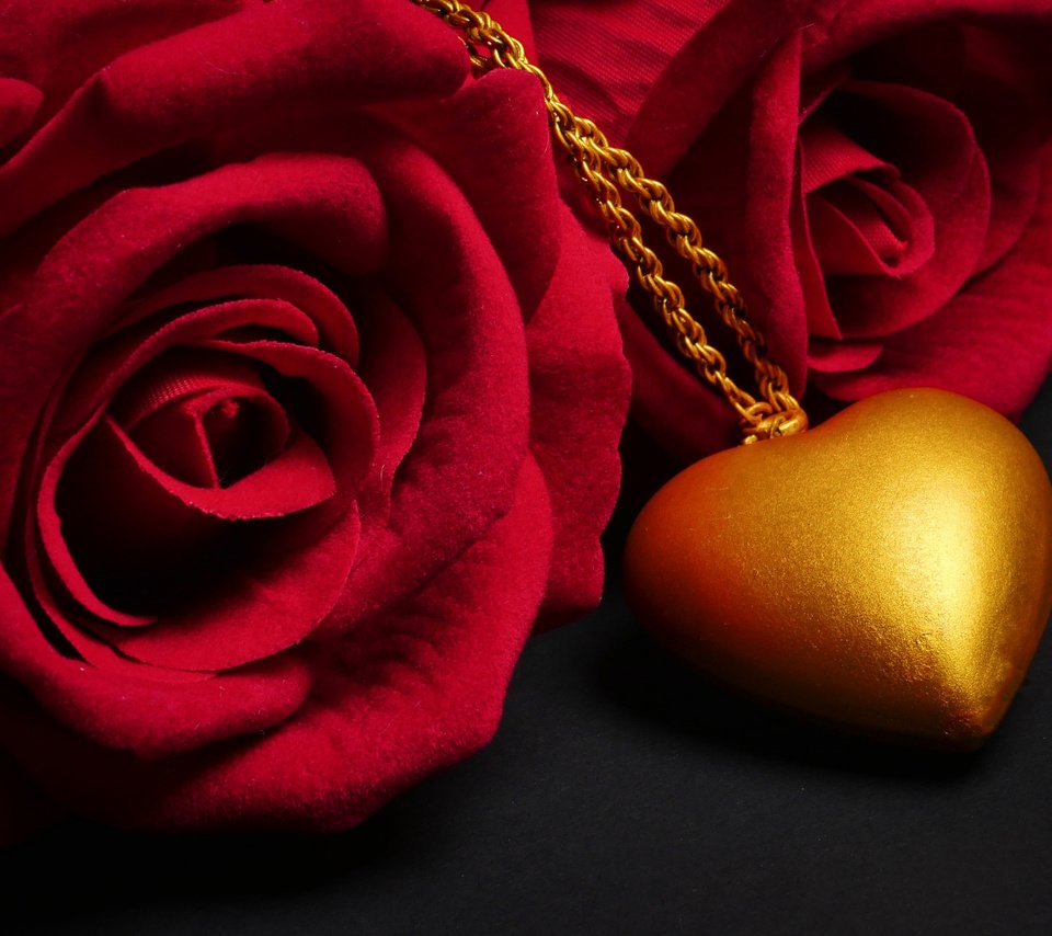 Обои цветы, влюбленная, роза, красная, сердце, черный фон, романтик, кулон, роз, flowers, love, rose, red, heart, black background, romantic, pendant, roses разрешение 2112x1188 Загрузить