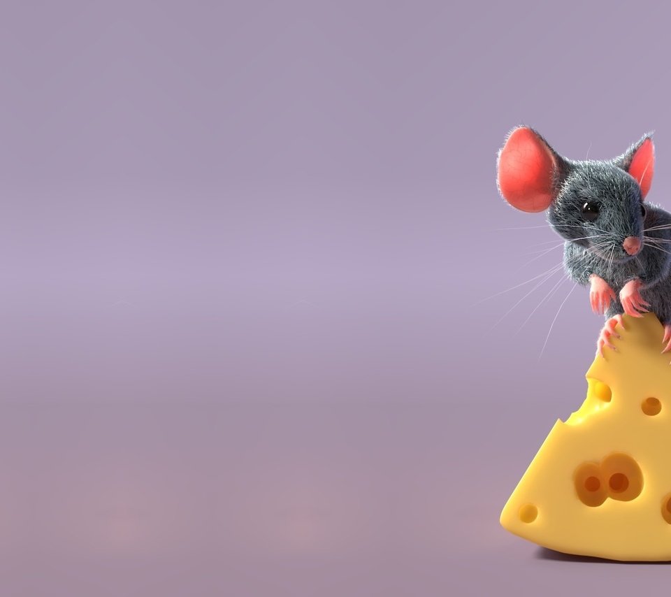 Обои рендеринг, сыр, мышь, хвост, мышка, детская, freelancer, sergey pletnev, mouse and cheese, rendering, cheese, mouse, tail, children's разрешение 2048x1188 Загрузить